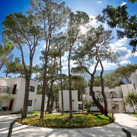Siu Collection Hotel 5*